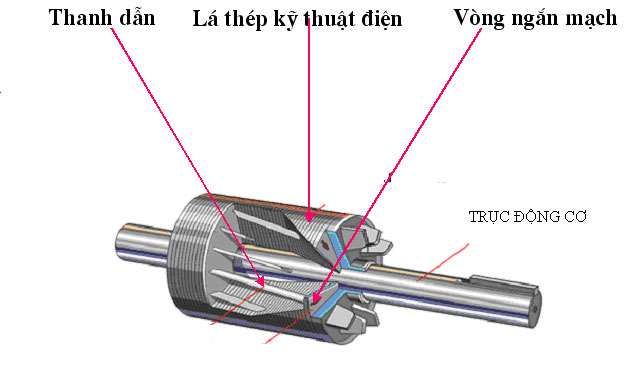 Phần quay – Roto